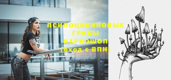 прущая мука Елизово