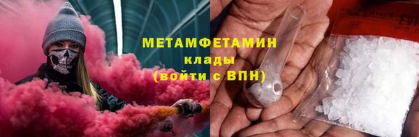 прущие грибы Аркадак