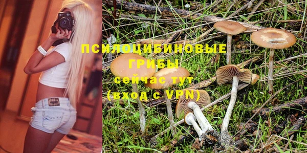 прущие грибы Аркадак
