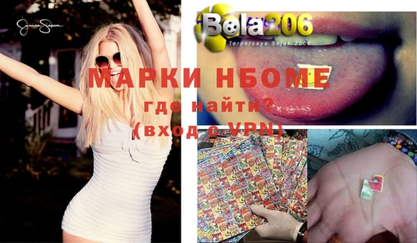 прущие грибы Аркадак