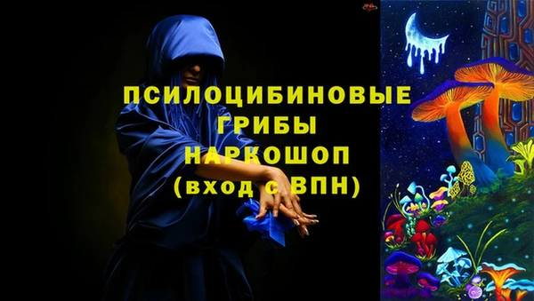 прущие грибы Аркадак