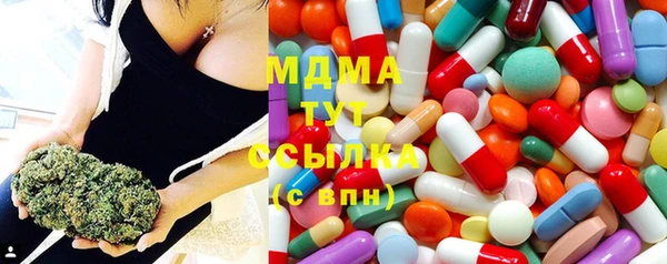 прущие грибы Аркадак