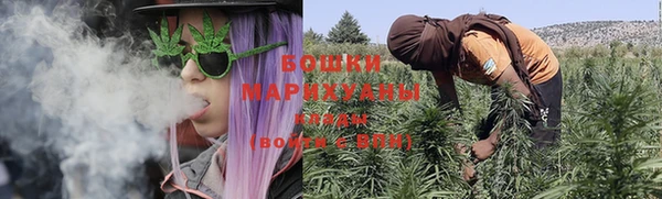 бутират Арсеньев